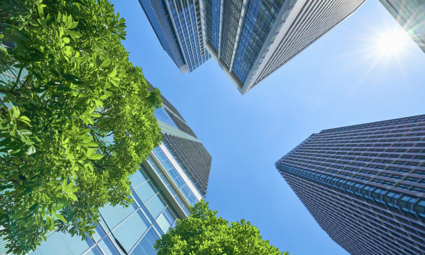 気候変動の緩和に向けた公共政策や規制への支持